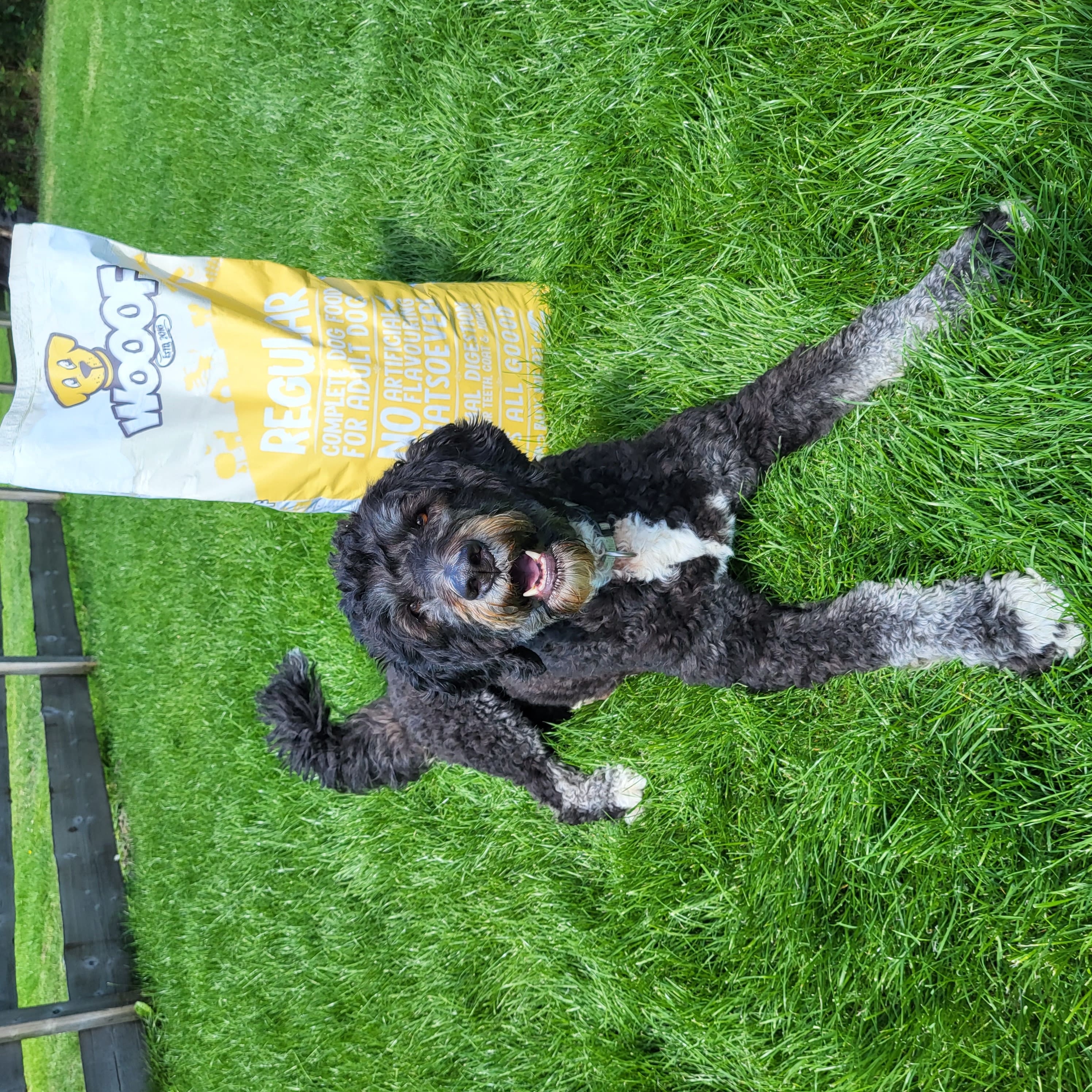 WOOOF Lam & Rijst 18kg - Graanvrij Koudgeperst Hondenvoer - Voor Gevoelige Honden - 18kg